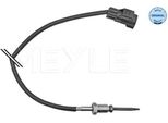 Meyle 714 800 0039 - Oe 1 480 867 Sensore Di Temperatura Dell'aria Per Galaxy (WA6), Mondeo Iv, S-Max (WA6)
