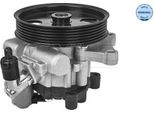 Meyle 014 631 0016 - Oe 6 466 65 01 Servo Pompa Per Classe E (W212), Classe E (S212), Slk (R172)