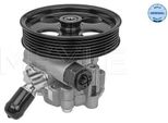 Meyle 614 631 0017 - Oe 9 48 107 Servo Pompa Per Insignia A (G09)