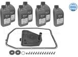 Meyle 100 135 0110 - Oe 0AT 325 429 Cambio Olio, Cambio Automatico Per Q7 (4L)