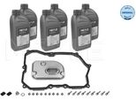 Meyle 100 135 0107 - Oe 09M 325 429 Cambio Olio, Cambio Automatico Per Passat (3C), Tiguan (5N)