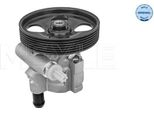 Meyle 16-16 631 0005 - Oe 8200888373 Servopompa Per Golf Iii (1H), Avantime (DE0), Espace Iii (Je), Espace Iv (Jk), Laguna Ii, Vel Satis (BJ0)