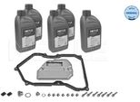 Meyle 100 135 0106 - Oe 09K 325 429 Cambio Olio, Cambio Automatico Per T5