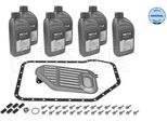 Meyle 100 135 0001 - Cambio Olio Oe 01V 325 429, Cambio Automatico Per Golf Iii (1H), Tipo, 306, A4 (8D), A4 (8E), A4 (8H), A6 (4B), A8 (4D), 911 (996), Boxster (986), Boxster (987), Cayman (987), Superb I (3U), Passat (3B), Phaeton (3D)