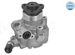 Meyle 114 631 0039 - Oe 7E0 422 154 E Servo Pompa Per Amarok, T5, T6