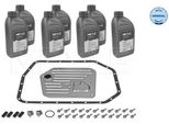 Meyle 300 135 0002 - Oe 24 34 1 422 673 Cambio Olio, Cambio Automatico Per A4 (8D), X5 (E53), Serie 7 (E38), Serie 5 (E39), XK8 (X100), Xj (X308), Range Rover Iii (L322)