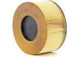 MANN-FILTER C 1882 - Filtro Aria Oe 13 71 7 503 141 Per Serie 3 (E46)