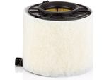 MANN-FILTER C 17 014 - Oe 8W0 133 843 D Filtro Aria Per A4 (8W), A5 (F5)