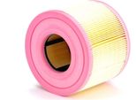 MANN-FILTRO C 18 114 - Oe 13 71 7 536 006 Filtro Aria Per Serie 1 (E81), Serie 1 (E87), Serie 1 (E88), Serie 1 (E82), Serie 3 (E90), Serie 3 (E93), Serie 3 (E92), Serie 3 (E91), X1 (E84)
