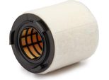 MANN-FILTER C 15 008 - Oe 6R0 129 620 A Filtro Aria Per A1 (8X), Ibiza (6J, 6P), Toledo Iv (KG3), Rapid (Nh), Fabia Ii (54), Roomster (5J), Polo (6C, 6R)