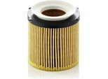 MANN-FILTER Hu 8002 Y - Oe 11 42 7 618 462 Filtro Olio Per Serie 5 (F11), X1 (E84), X3 (F25), Serie 3 (F30), Serie 3 Gt (F34), Serie 3 (F31), Serie 5 (F10)