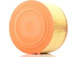 MANN-FILTER C 22 024 - Filtro Aria Oe 1720 719 Per Ranger (Tke)
