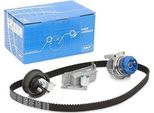 Skf Vkmc 01936 Pompa Dell'acqua + Kit Cinghia Dentata Oe 06B109243F Compatibile Con A3 8L, A4 8D, A6 4B, Tt, Alhambra, Cordoba, Ibiza, Leon, Toledo, Octavia, Bora, Golf Iv, New Beetle, Sharan