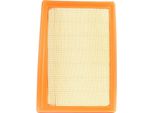MANN-FILTER C 25 033 - Filtro Aria Oe 68361377AA Per Tipo