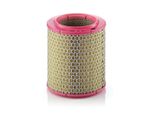 MANN-FILTRO C 17 129 - Oe 1444 A1 Filtro Aria Per Ducato, Boxer