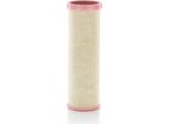 MANN-FILTER Cf 16 004 - Filtro Aria Secondario Oe GC46 9601 B2B Per Classe C (S204), Clio Iii, Kangoo (Kw)