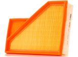 MANN-FILTER C 2245 - Oe 13 72 7 529 261 Filtro Aria Per R50, R53, R52