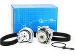 Skf Vkmc 01113-1 Pompa Dell'acqua + Kit Cinghia Dentata Oe 06A109119B Compatibile Con Passat 3C, Polo 6V, Touran, A3 8L, A3 8P, A4 8D, A4 8E, Altea, Altea Xl, Cordoba, Exeo, Ibiza, Leon, Toledo, Octavia, Bora, Caddy, Golf Iv, Golf Plus, Golf V, Golf Vi, Jetta, New Beetle, Passat 3B