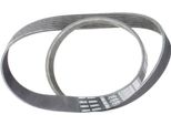 Bosch 1 987 947 939 Cinghia Trapezoidale Dentata Oe 500385160 Compatibile Con A2, Jumper, Ducato, Escort, T1, Cordoba, Ibiza, Fabia, Roomster, Fox, Lupo, Polo 9N
