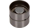 Maxgear 17-0020 - Idrostelo Per A3 (8L), A4 (8D), A4 (8E), A4 (8H), A6 (4A), A6 (4B), A6 (4F), A8 (4E), Tt (8N), Alhambra (7V), Cordoba (6K), Exeo (3R), Ibiza (6K), Ibiza (6L), Leon (1M1), Toledo Ii (1M2), Octavia I (1U), Superb I (3U), Bora (1J), Golf Iv (1J), New Beetle, Passat (3B), Polo (9N), Sharan (7M)