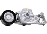 Skf Vkm 31019 Tendicinghia, Cinghia Trapezoidale Dentata Oe 038903315AE Compatibile Con Transporter V, A3 8L, Galaxy, Alhambra, Leon, Toledo, Octavia, Bora, Golf Iv, Multivan V, New Beetle, Sharan