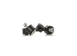 Ridex 2067R0024 - Riparatore, Stabilizzatore Per A3 (8L), Leon (1M1), Toledo Ii (1M2), Octavia I (1U), Bora (9M), Bora (1J), Golf Iv (1J), New Beetle