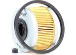 Topran 700 235 - Oe 7701 043 620 Filtro Carburante Per Clio Ii, Kangoo (Kc), Kangoo (Fc), Laguna I, Megane I, Scenic I, Thalia I (Lb), Trafic (P, T, V)