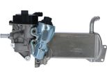 Nrf 48201 - Modulo Egr Oe 03L131512AR + Raffreddatore Egr Per Q5 (8R)