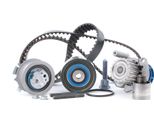 Skf Vkmc 01259-1 Pompa Dell'acqua + Set Cinghia Dentata Oe 038109244J Compatibile Con A3 8P, Altea, Altea Xl, Leon, Toledo, Octavia, Superb, Golf Plus, Golf V, Jetta, Passat 3C, Touran