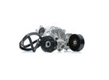 Ridex 4172P0066 - Oe 026 121 010 Wasserpumpe + Keilrippenriemensatz FüR Galaxy (Wgr), Alhambra (7V), Cordoba (6K), Ibiza (6K), Inca (6K), Toledo I (1L2), Caddy Ii (9K), Golf Iii (1H), Golf Cabriolet (1E), Passat (35I), Polo (6V), Sharan (7M), Vento (1H)