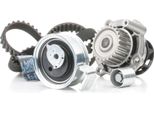 Stark SKWPT-0750233 - Set Pompa Acqua + Cinghia Di Distribuzione Oe 06B 198 119 A Per A4 (8D), A4 (8E), A4 (8H), A6 (4B), Exeo (3R), Superb I (3U), Passat (3B)