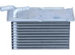Nrf 30292 - Intercooler Oe 03F145749B Per A1 (8X), A3 (8P), Ibiza (6J, 6P), Leon (1P1), Toledo Iv (KG3), Rapid (Nh), Roomster (5J), Fabia Ii (54), Octavia Ii (1Z), Yeti (5L), Maggiolino (5C), Caddy Iii (2C, 2K), Golf Plus (5M), Golf Vi, Jetta Iv, Polo (6C, 6R), Touran (1T)