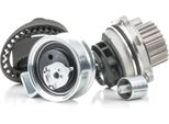 Ridex 3096W0234 - Set Pompa Acqua + Cinghia Di Distribuzione Oe 06B 198 119 A Per A4 (8D), A4 (8E), A4 (8H), A6 (4B), Exeo (3R), Superb I (3U), Passat (3B)