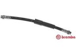 Brembo T 23 194 - Tubo Freno Oe 1401070380 Per Expert (Vf), Expert Tepee (VF3X), Jumpy (U6U), Jumpy (VF7), Scudo