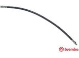Brembo T 61 054 - Tubo Freno Oe 1484536080 Per 807 (Eb), C8 (Ea, Eb), Expert (222), Expert (223), Expert (224), Jumpy (B), Jumpy (U6U), Scudo, Ulysse