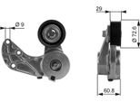 Gates T38317 - Puleggia Tenditore Oe 022145299E, Cinghia A V Per Q7 (4L), Cayenne (92A), Cayenne (9PA), Phaeton (3D), Touareg (7L), Touareg (7P)