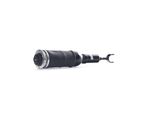 Stark SKAST-1860043 - Oe 4Z7 413 031 Puntone Sospensione Pneumatica, Anteriore Per A6 (4B)
