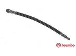 Brembo T 56 146 - Oe 4621300Q0C Bremsschlauch FüR Primastar (X83), Talento, Trafic Ii (El), Trafic Ii (Fl), Trafic Ii (Jl), Trafic Iii (Eg), Trafic Iii (Fg), Trafic Iii (Jg), Vivaro (F7), Vivaro (J7), Vivaro (X82), Vivaro A (E7), Vivaro A (X83), Vivaro B (X82)