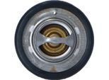 Nrf 725206 Termostato, Liquido Di Raffreddamento Oe 1001993 Compatibile Con Tribute, Transit, Tourneo, S-Max, Mondeo, Maverick, Galaxy, Focus, Fiesta, Escort, Courier, Cougar, C-Max