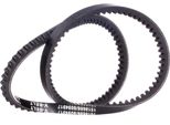 Ridex 10C0007 - Cinghia Trapezoidale Oe 035903137A Per Panda, Seicento, Escort V, Escort Vi, Escort Vii, Fiesta Iii, Orion Iii (Gal)