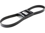 Ridex 305P0155 - Cinghia Oe 1702604 Con Nervatura A V Per 3 (Bk), 5 (CR19), 6 (G)