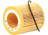 Ridex 7O0033 - Oe 72 097 690 ÖLfilter FüR Maverick, Terrano Ii (R20), Terrano I (WD21), Primera (P11), Primera (W10), Primera (P10), Pick-Up (D22), Pick-Up (D21), Almera I (N15)
