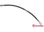 Brembo T 56 148 - Tubo Freno Oe 462102F001 Per Primera (P11)