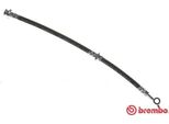 Brembo T 56 149 - Tubo Freno Oe 462102F002 Per Primera (P11)