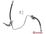 Brembo T 59 070 - Bremsschlauch Oe 13116136 Per Astra (A04), Astra G, Astra H, Combo, Combo Tour, Meriva (X03), Meriva B (S10), Zafira A, Zafira B