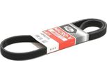 Gates 6DPK1195 Cinghia Trapezoidale Dentata Oe 06A260849 Compatibile Con Transporter V, Sharan, Polo 6V, New Beetle, Multivan V, Golf Iv, Caddy, Bora, Octavia, Toledo, Leon, Ibiza, Cordoba, Alhambra, Galaxy, Tt, A3 8L