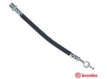 Brembo T 83 117 Tubo Freno Per Toyota Corolla (ZZE12, NDE12, ZDE12) Corolla Station Wagon (E12J, E12T) Corolla Verso (ZDE12, CDE12) Corolla Berlina