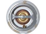 Nrf 725209 Termostato, Liquido Di Raffreddamento Oe 06J121113 Compatibile Con Transporter Vi, Caravelle Vi, Transporter V, Tiguan, Passat Cc, Passat 3C, Multivan Vi, Multivan V, Jetta, Golf Vi, Eos, Beetle, Yeti, Superb, Octavia, Leon, Exeo, Altea Xl, Altea, Tt, Q5, A6 4G, A5 8T, A5 8F, A4 8K, A3 8P