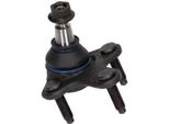 Maxgear 72-2357 - Traggelenk Oe 5QD 407 366, Vorne Rechts Unten FüR A3 (8P), A3 (8V), A3 (8Y), Q2 (Ga), Q3 (8U), Q3 (F3B), Q3 (F3), Ateca (K), Alhambra (710, 711), Ateca (Kh), Leon (1P1), Leon (5F), Tarraco (KN2), Karoq, Kodiaq, Octavia Iii (5E), Octavia Iv (Nx), Superb Iii (3V), Arteon (3H), Cc (358), Golf (BA5, BV5), Golf Sportsvan (AM1, AN1), Golf Vii, Golf Viii, Passat (365, 362), Passat (3G),