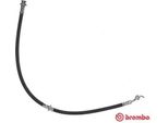 Brembo T 56 142 - Tubo Freno Oe 462109U01A Per Micra Iii (K12), Note (E11, NE11), Note (E12)